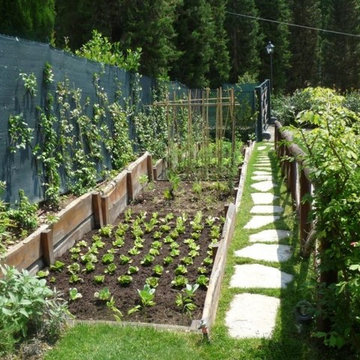 Progettazione Paesaggistica per Giardino Privato ad Arezzo