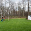 Help: Deer-Resistant Evergreen Screen for Wooded Edge (Zone 6b)