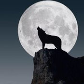 Foto von Scott Wells