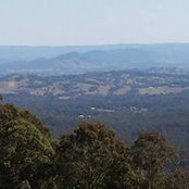 Tracie Holroyd's photo