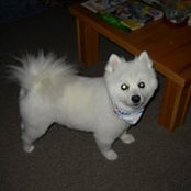 Cathy Adams's photo