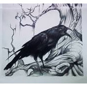 Michael Martin's photo