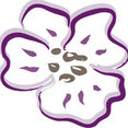 Primrose & Plum Ltd's profile photo