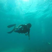 Adrian Puscas's photo