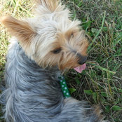 Debra O'Connor's photo