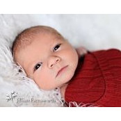 Debby Jensen's photo