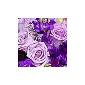 Belle-Etoile's photo