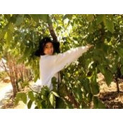 Houda Halwani's photo
