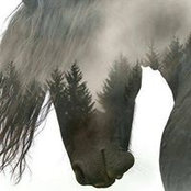 Gwen Rinaldi's photo