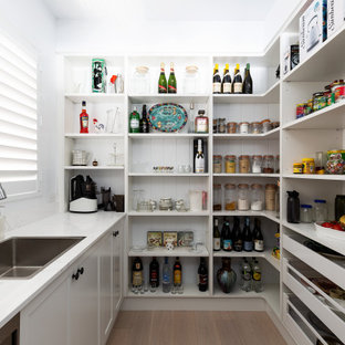 This is an example of a mid-sized beach style single-wall kitchen pantry in Sydney with a drop-in sink, recessed-panel cabinets, white cabinets, granite benchtops, white splashback, granite splashback, stainless steel appliances, light hardwood floors, beige floor and white benchtop.