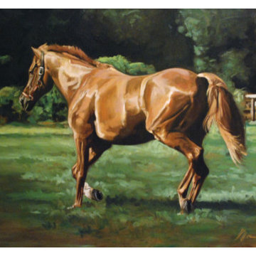 Oil Portraits by Steven Morrell