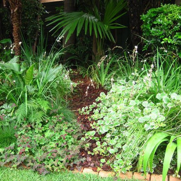 Contemporary Tropical Garden