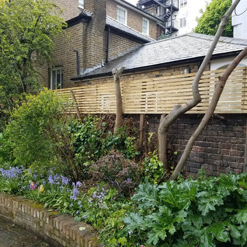 St Johns Wood Back Garden