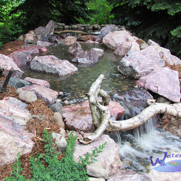 Water Feature - Pond
