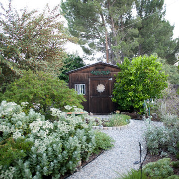 Lush and Leafy Can Also Be Fire Wise