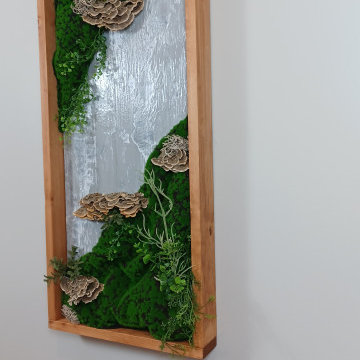 Green Wall Art_ preserved Turkey Tail Mushrooms
