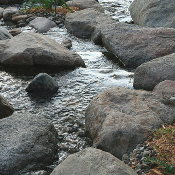 Water Features