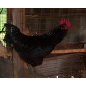 Annette Putnam's photo