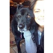 Angela Paniccia's photo