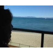 Laura Villareal's photo