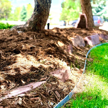 Landscape Renewal - Ken Caryl, CO