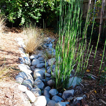 Landscaping Ideas