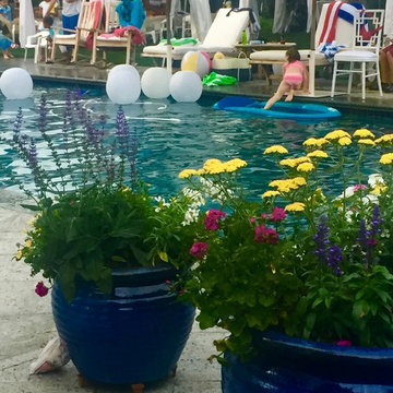 Brightening Up the Pool Party