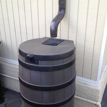 Rain Barrel