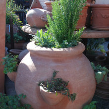 Exterior Ideas