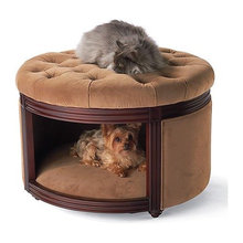 Pet Ideas