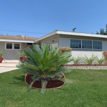 Foundation Plantings