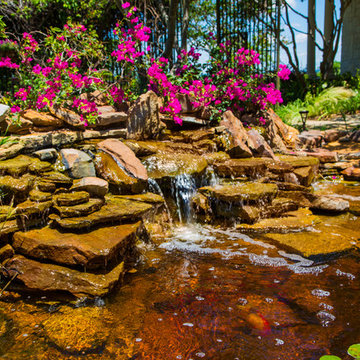 The Golden Pond and Water Features