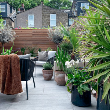 Contemporary Patio Renovation in London