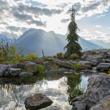 Mountain Top Pond