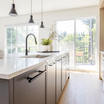 GOVERMENT LANE RENOVATION | TOWNHOUSE | BURNABY