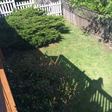 Before and after