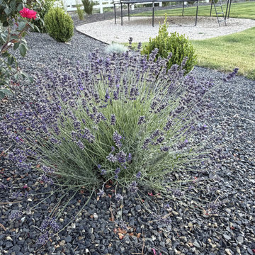 Dry Creek Ranch Landscape Design & Installation