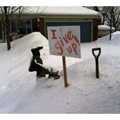 Debbie Mccready's photo