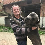 Mario Stürmer's photo