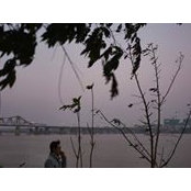 Lĩnh Phạm Bá's photo