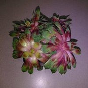 Michelle Armstead-Randolph's photo