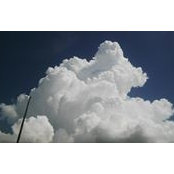 Michelle Wallace's photo