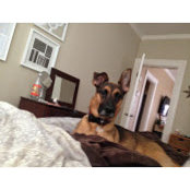 Joseph Ciampa's photo