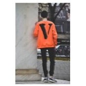 Luca Maiorescu's photo
