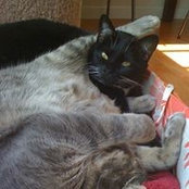 Debbie Ordep's photo
