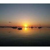 Amanda Wrights foto