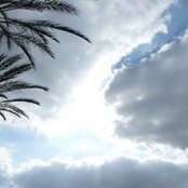 Foto de Lee Macklin