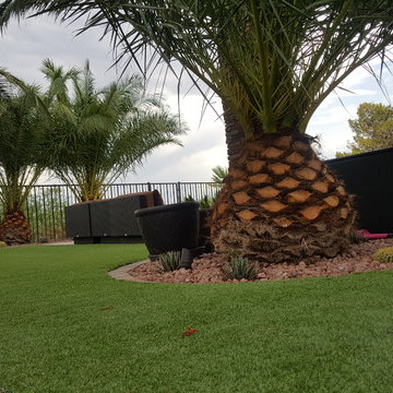 Red Rock Country Club Landscape Las Vegas