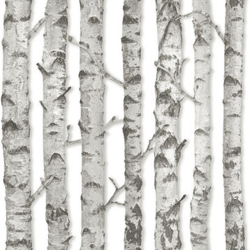 Merman Light Grey Birch Tree Wallpaper Bolt