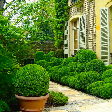 Cloud Pruning | Design | Pruning & Care